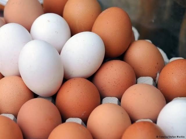 البيض الأحمر برشاد حمزة 54.5 جنيه .. أسعار بورصة البيض بالمحافظات اليوم الخميس