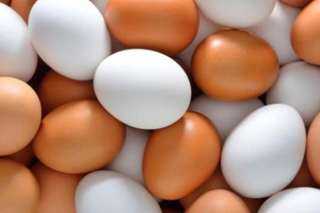 خبيرة تغذية: هذه حقيقة البيضة المفترى عليها .. حلقة اليوم من برنامج ”الأرض”