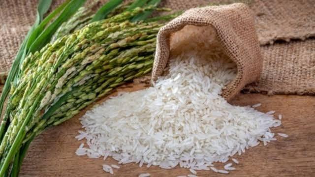 تراجع إنتاج أكبر مصدر للأرز في العالم بنسبة 6.1% على أساس سنوي