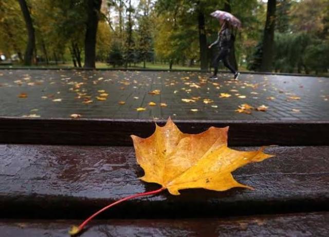 أول أيام الخريف..الأرصاد تكشف حالة الطقس المتوقعة غدا الجمعة