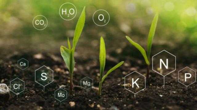 الزراعة تحذر من خلط الاسمدة الكيماوية وتحدد الضوابط
