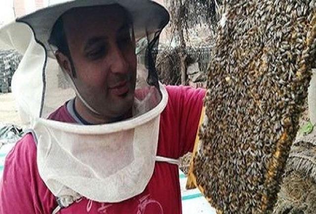 تراجع صادرات مصر 50 % من طرود النحل .. ودعوة لحماية منتجي العسل الطبيعي .. والتوعية ضد الصناعي .. ألبوم صور من مهرجان عسل 2021