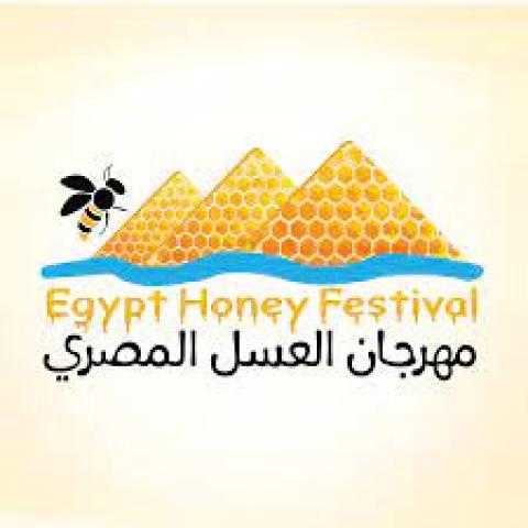 محمود حسن يكشف الأهداف وراء إنشاء مهرجان العسل المصرى