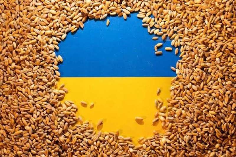 الزراعة الأوكرانية 