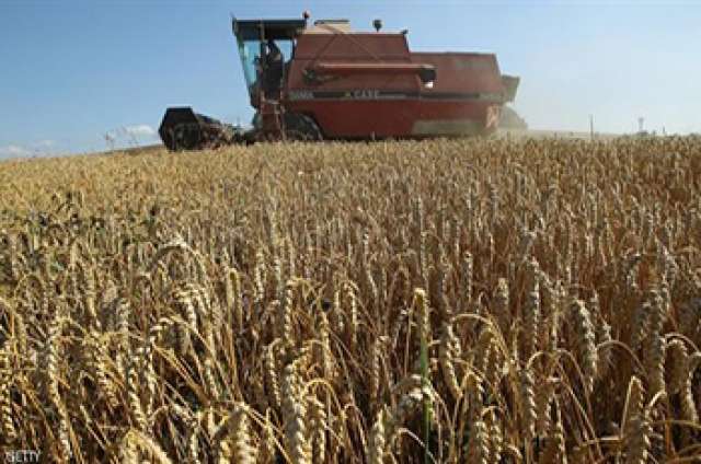 كيف تزرع القمح والشعير والبرسيم في الصحراء الأرض